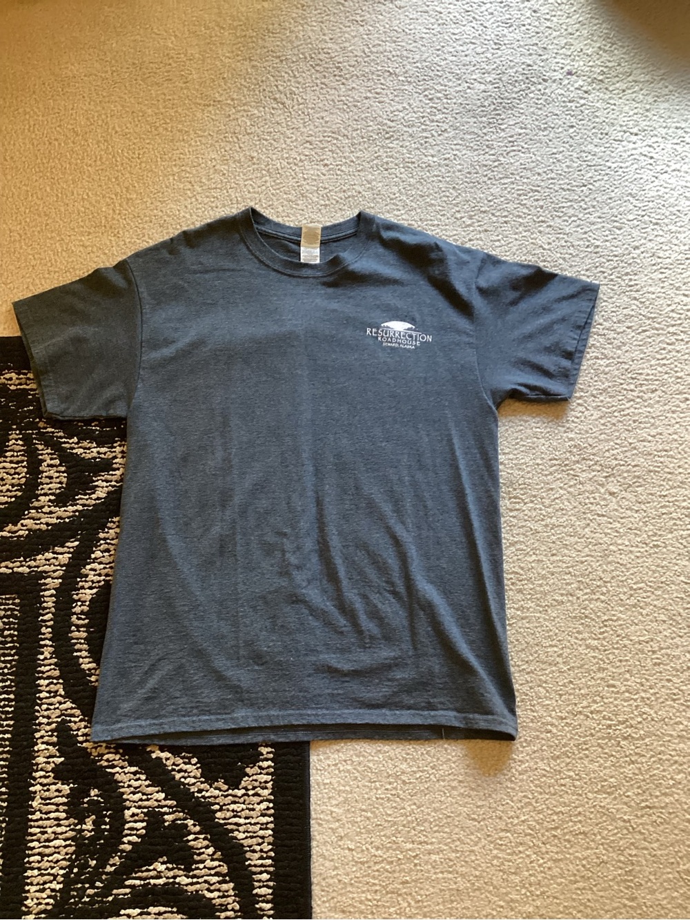 Gildan Men's Dark Navy Short-Sleeve Alaska Graphic Tee